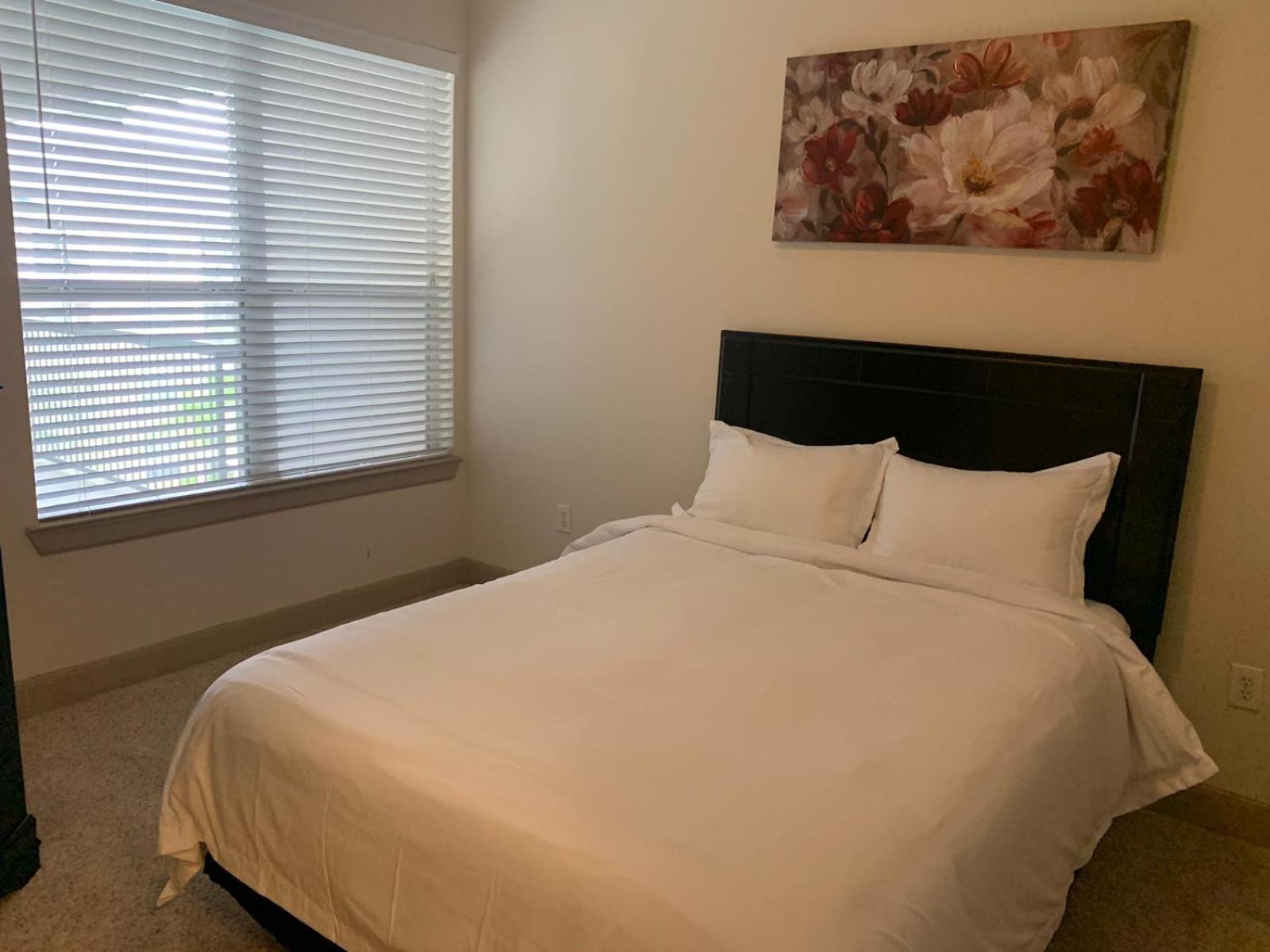 Gorgeous Furnished Apartments Near Texas Medical Center & Nrg Stadium Houston Room photo